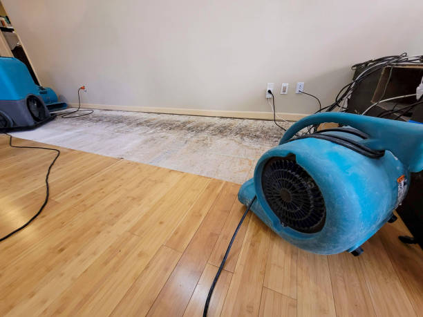 Professional Water Damage Repair technician working in Snowville, UT